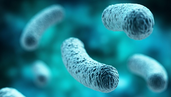 Silver nanoparticles, a sustainable antimicrobial?