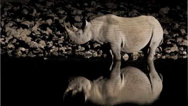 Science talk: An Unblinking History of the Conservation Movement