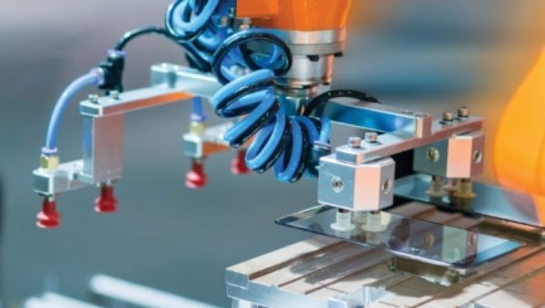 More about the collection