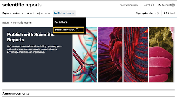 Screenshot of journal showing option to submit manuscript