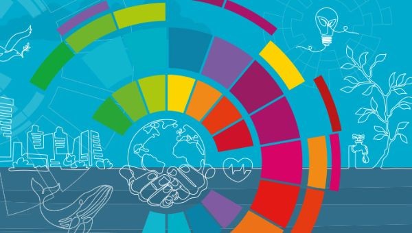 Sustainable Development Goals (SDG) Programme