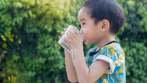 Pick up and dispose of pollutants from water via temperature-responsive micellar copolymers on magnetite nanorobots