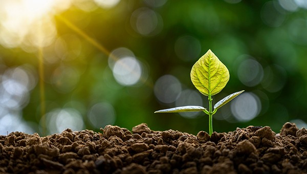 8: Menschen-würdige Arbeit und Wirtschafts-wissenschaften