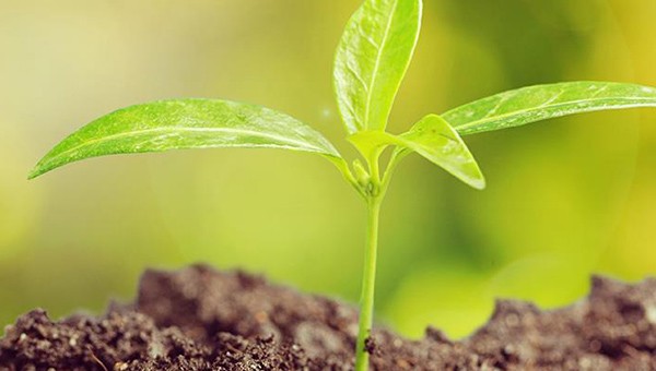 Research, Publication and Beyond