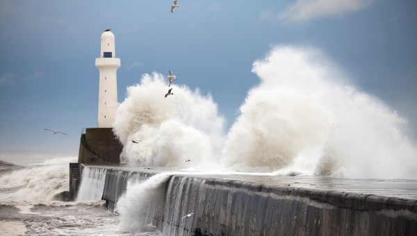 Large-scale dynamics moderate impact-relevant changes to organised convective storms