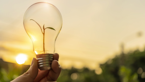 Towards Zero Waste: Segregation at Source Can Reduce Our Waste Footprint