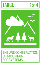 SDG 15.4 icon © Springer Nature 2023