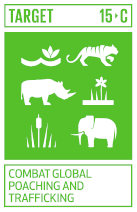 Combat Global Poaching and Trafficking page © springernature 2023