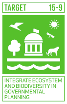 SDG 15.9 icon © Springer Nature 2023