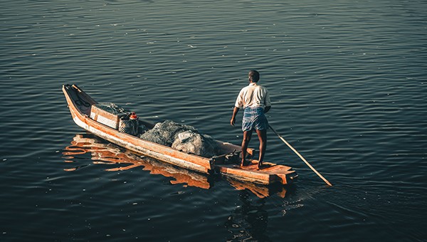 Local knowledge systems: how can they help to guide ecological transition and a freer world?