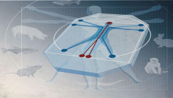 Nature Reviews Bioengineering: First anniversary collection