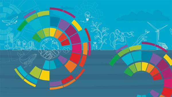 The Sustainable Development Goals Programme