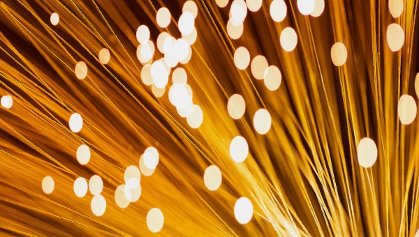 Text & Data Mining: Learn more and try our free API