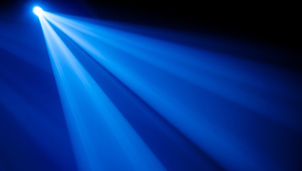 Celebrating Editorial Impact: Editorial Fellowship equips early career researchers with journal publishing experience.