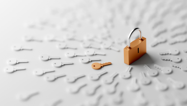 Open access book publishing