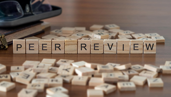 Peer Review image © Springer Nature 2024