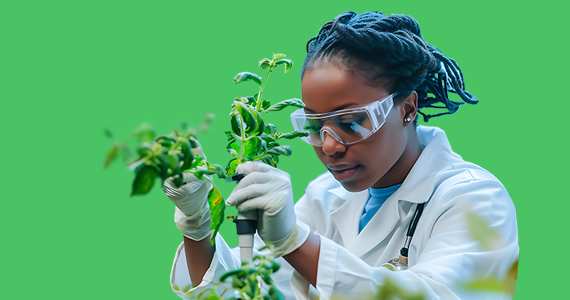 Wir haben einen Mehrwert für die akademische Gemeinschaft geschaffen 