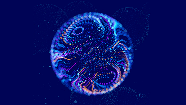 Annual Progress Report