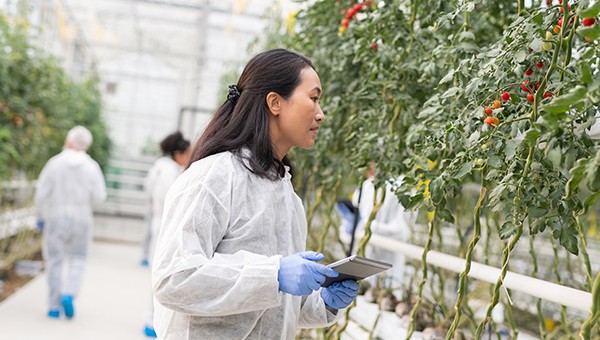 The state of research assessment