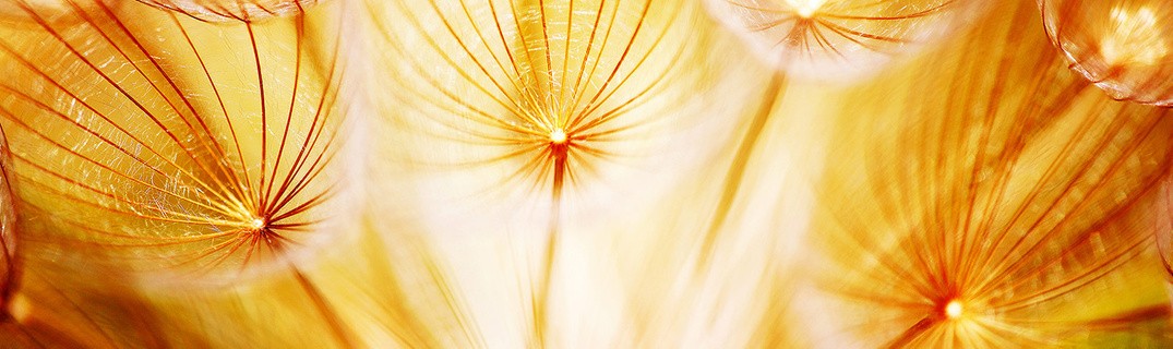 Keeping in touch during a pandemic