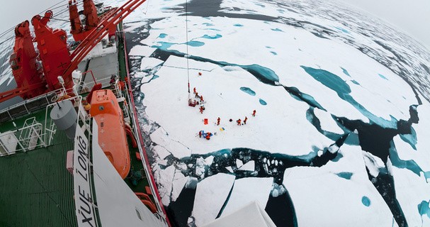 An Arctic Vision of Sustainability