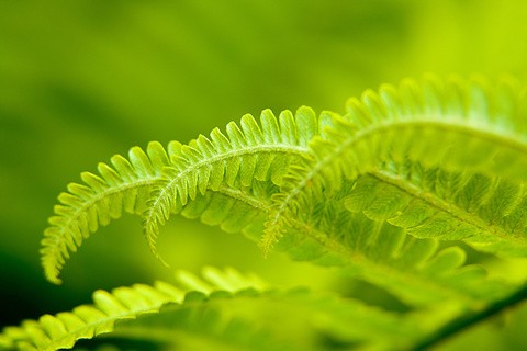 COP28: A special Q&A with our Director of Sustainability