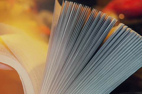 Championing gender equity and quality education in times of crises 