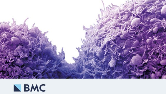 Why choose a BMC journal?