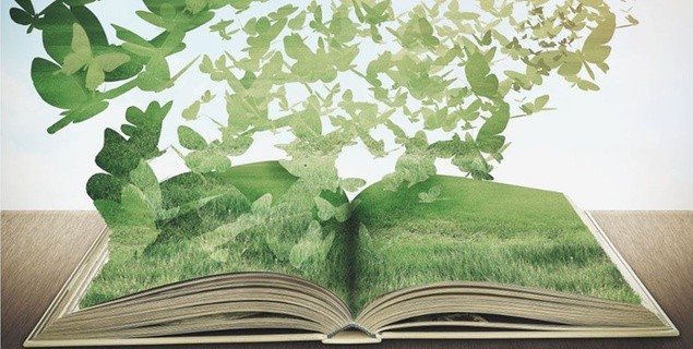 Publishing an open access book: Q&A with Nancy W. Gleason