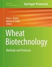 SpringerProtocols - Wheat Biotechnology