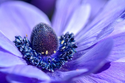 Lessons learned from open peer review: a publisher’s perspective