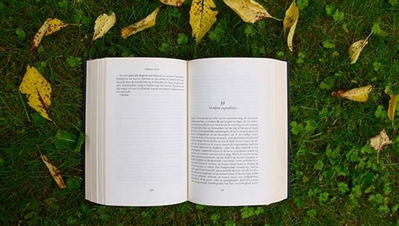 How OA books are supporting the SDGs: An interview with Dr Hugo Campos