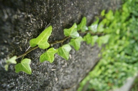 You've published your article, now what?