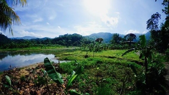 Celebrating collective action for the Global Goals