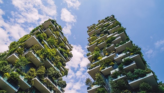 How Open Research impacts global societal challenges