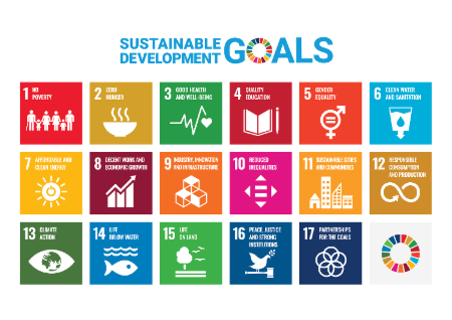SDG progress in ‘grave danger’. UN calls for partners to double down on efforts