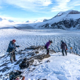 Think global, act global