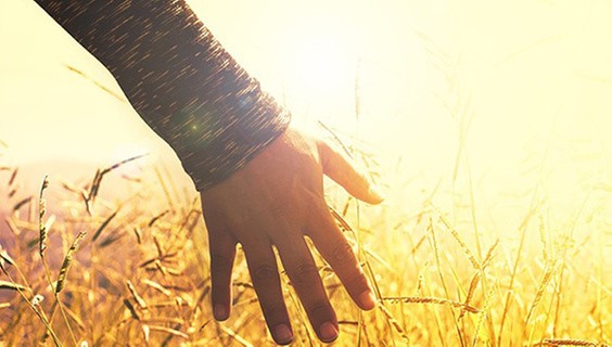 Enhancing sustainable food production in the face of climate change is vital to end hunger