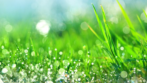 Advancing partnerships beyond publication to meet the Sustainable Development Goals