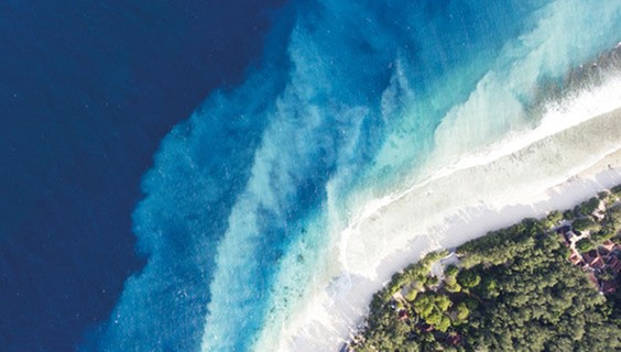 Science for a Sustainable Future: Insights and inspiration from experts