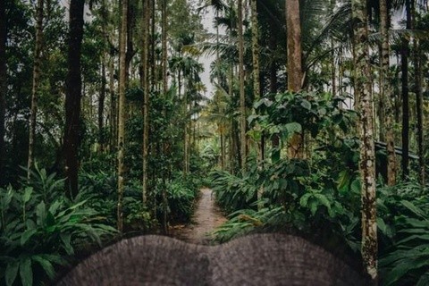 Who pays for open access? Here’s what we learned from a survey of 1,000 authors