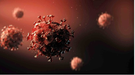 Behavioural Impacts of COVID-19