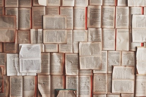 Moving towards OA: Addressing opportunities and challenges for OA books