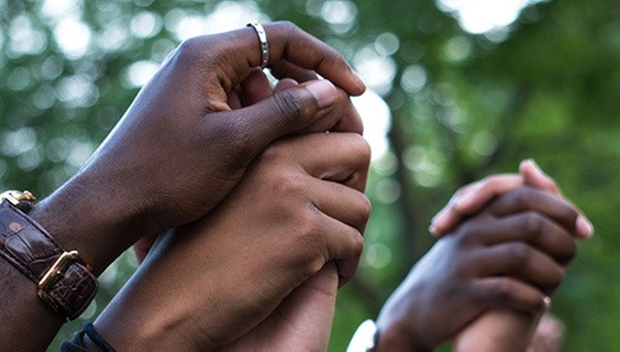 Free content on history and social science of racism