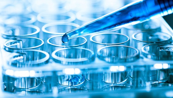 An interview with renowned biomedical sciences author Professor Shailendra K. Saxena, editor of the first book to be published on COVID-19 