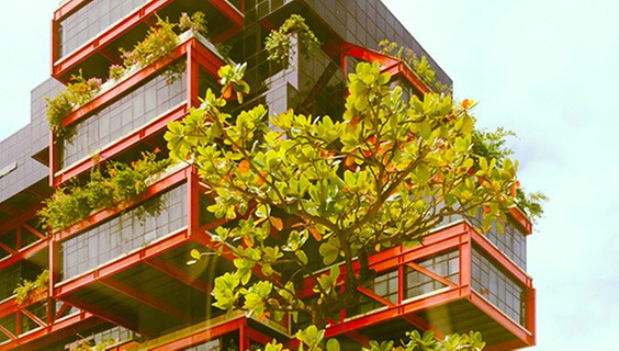 HSS-SDG-Sustainable-city-community