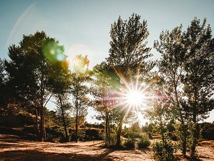 The Importance of Recognizing Reviewers