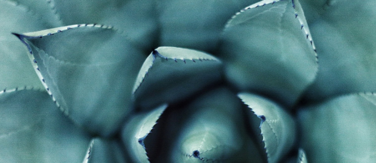 Collaboration is key 