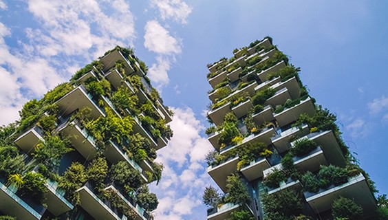 Five key takeaways from our Science for a Sustainable Future webinar series