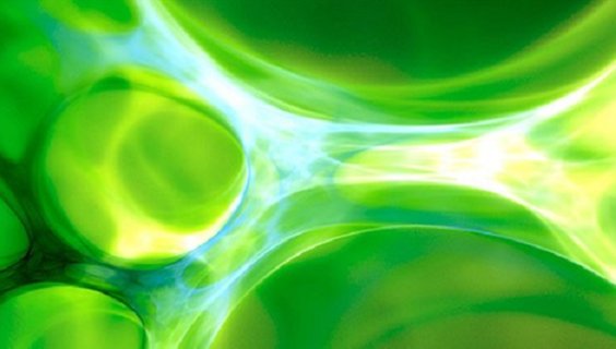 Virtual Issue: Disease Primers